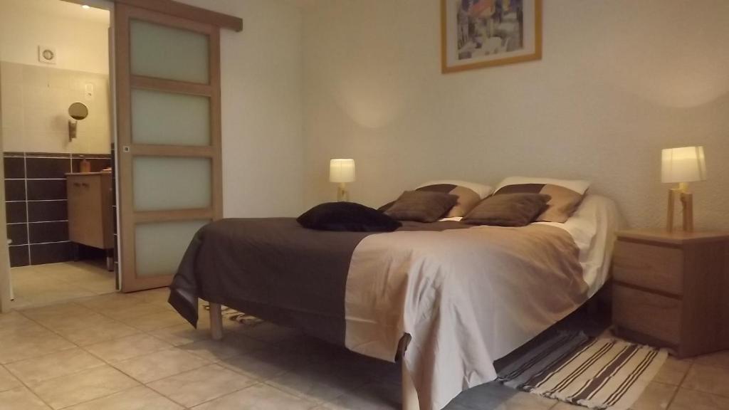 Chambres D'Hotes- Le Pre Aux Anes Albon Oda fotoğraf